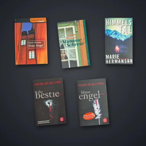 Skandi-Krimi – 5x Bestseller Buchpaket: Blasse Engel, Die Bestie, Evas Auge, Stumme Schreie, Himmelstal – gebrauchtes Buchpaket