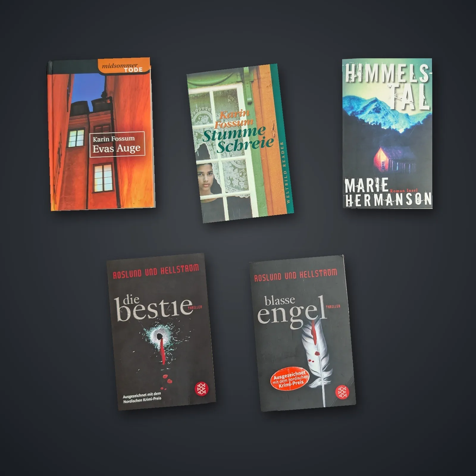 Skandi-Krimi – 5x Bestseller Buchpaket: Blasse Engel, Die Bestie, Evas Auge, Stumme Schreie, Himmelstal – gebrauchtes Buchpaket